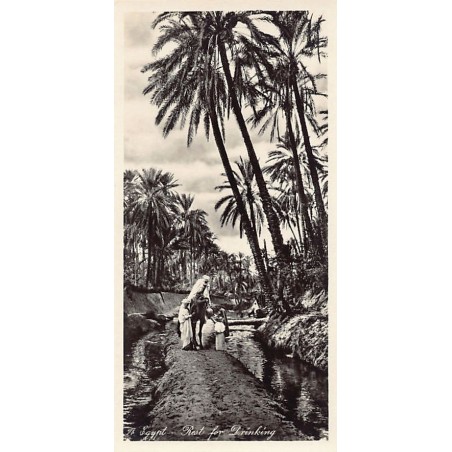 Rare collectable postcards of Egypt. Vintage Postcards of Egypt