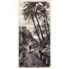 Rare collectable postcards of Egypt. Vintage Postcards of Egypt