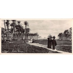 Rare collectable postcards of Egypt. Vintage Postcards of Egypt