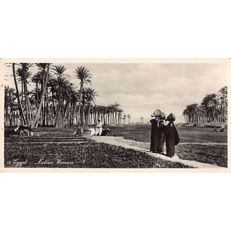 Rare collectable postcards of Egypt. Vintage Postcards of Egypt