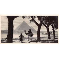 Rare collectable postcards of Egypt. Vintage Postcards of Egypt