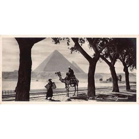 Rare collectable postcards of Egypt. Vintage Postcards of Egypt