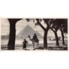 Rare collectable postcards of Egypt. Vintage Postcards of Egypt