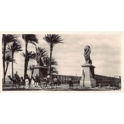 Rare collectable postcards of Egypt. Vintage Postcards of Egypt