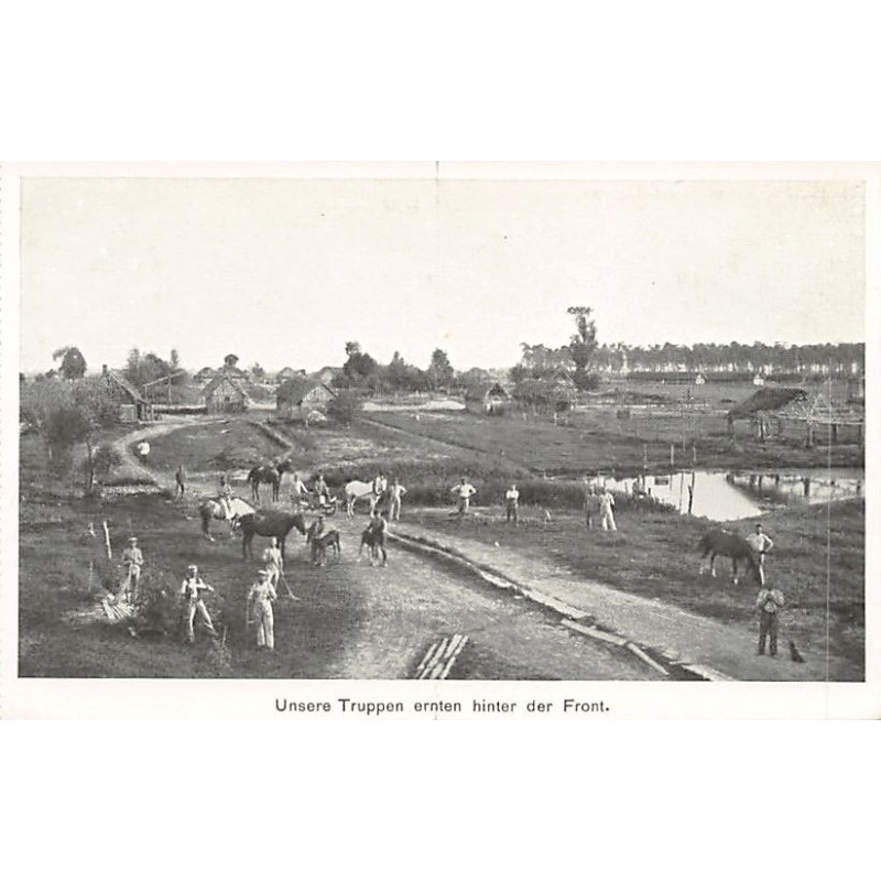 Rare collectable postcards of Belarus. Vintage Postcards of Belarus