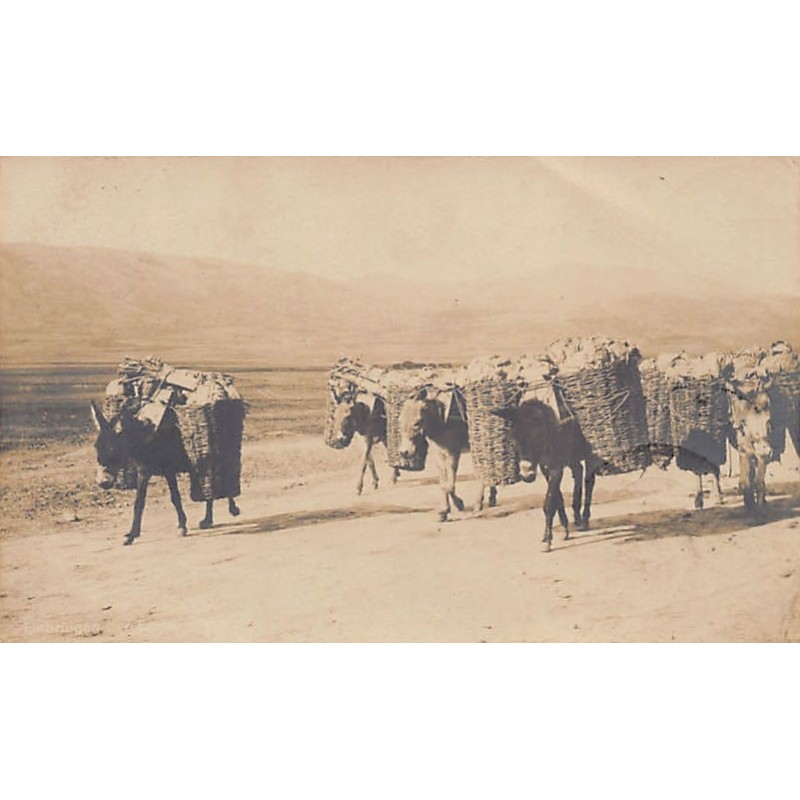 Rare collectable postcards of Macedonia. Vintage Postcards of Macedonia