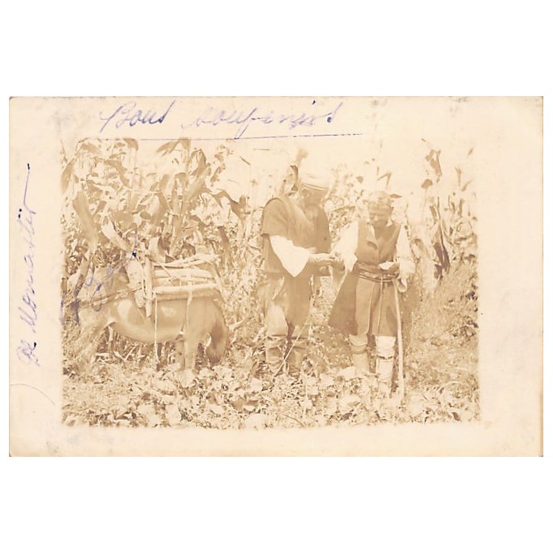 Rare collectable postcards of Macedonia. Vintage Postcards of Macedonia