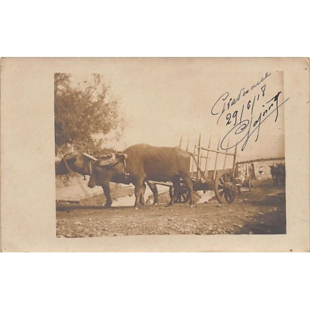 Rare collectable postcards of Macedonia. Vintage Postcards of Macedonia