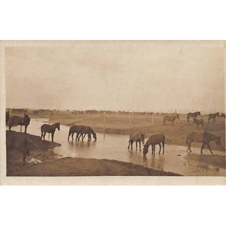 Rare collectable postcards of Macedonia. Vintage Postcards of Macedonia