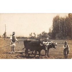 Rare collectable postcards of Macedonia. Vintage Postcards of Macedonia