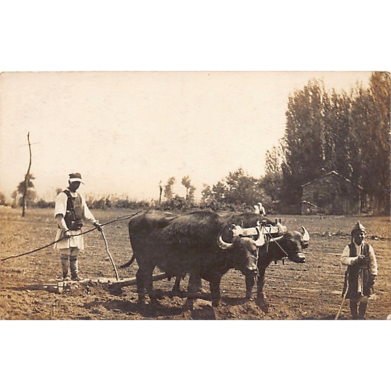 Rare collectable postcards of Macedonia. Vintage Postcards of Macedonia