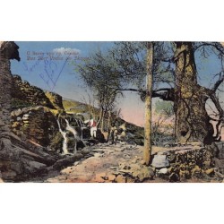 Rare collectable postcards of Macedonia. Vintage Postcards of Macedonia