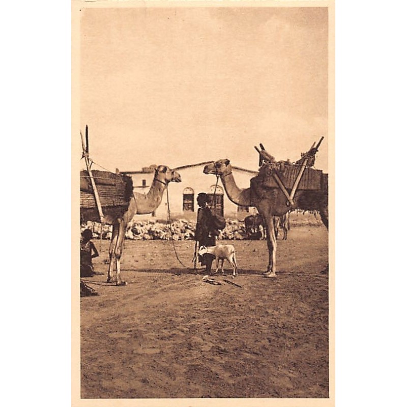 Rare collectable postcards of Djibouti. Vintage Postcards of Djibouti