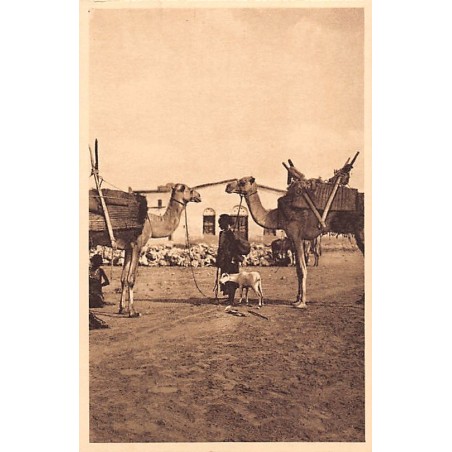 Rare collectable postcards of Djibouti. Vintage Postcards of Djibouti