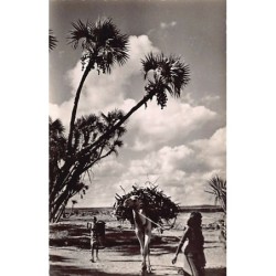 Rare collectable postcards of Djibouti. Vintage Postcards of Djibouti