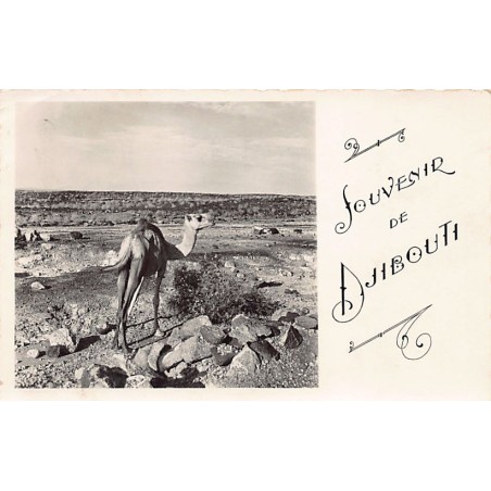Rare collectable postcards of Djibouti. Vintage Postcards of Djibouti