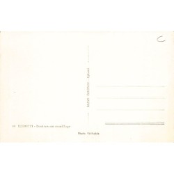 Rare collectable postcards of Djibouti. Vintage Postcards of Djibouti