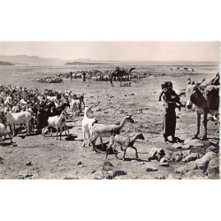 Rare collectable postcards of Djibouti. Vintage Postcards of Djibouti