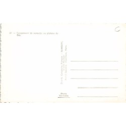 Rare collectable postcards of Djibouti. Vintage Postcards of Djibouti