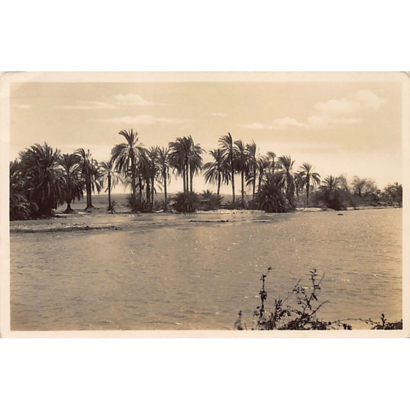 Rare collectable postcards of Djibouti. Vintage Postcards of Djibouti