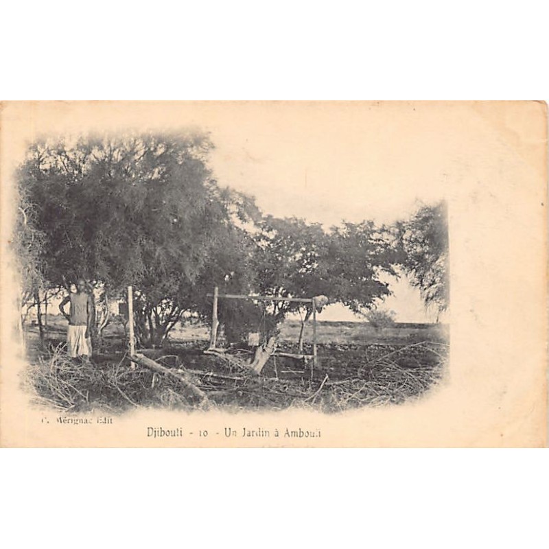 Rare collectable postcards of Djibouti. Vintage Postcards of Djibouti