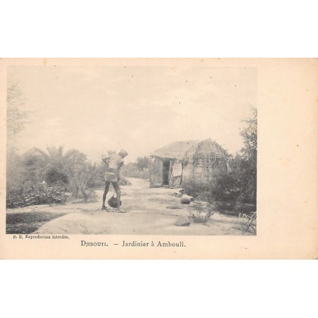 Rare collectable postcards of Djibouti. Vintage Postcards of Djibouti