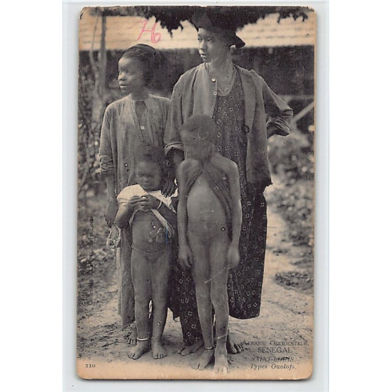 Rare collectable postcards of Senegal. Vintage Postcards of Senegal
