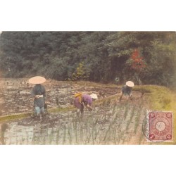 Rare collectable postcards of Japan. Vintage Postcards of Japan