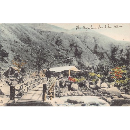 Rare collectable postcards of Japan. Vintage Postcards of Japan