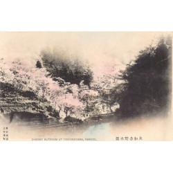 Rare collectable postcards of Japan. Vintage Postcards of Japan