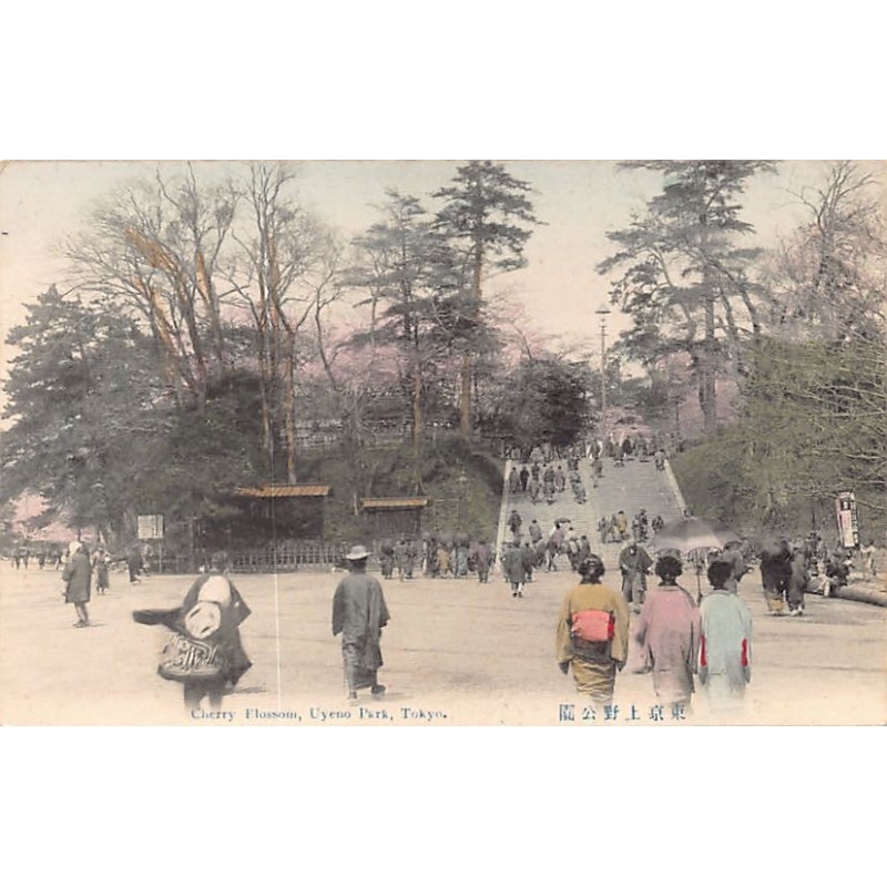 Rare collectable postcards of Japan. Vintage Postcards of Japan