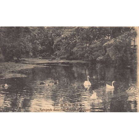 Rare collectable postcards of Japan. Vintage Postcards of Japan