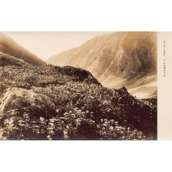 Rare collectable postcards of Japan. Vintage Postcards of Japan