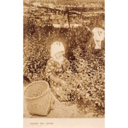 Rare collectable postcards of Japan. Vintage Postcards of Japan