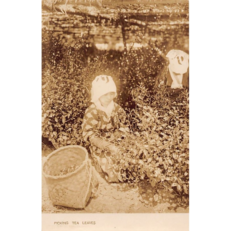 Rare collectable postcards of Japan. Vintage Postcards of Japan