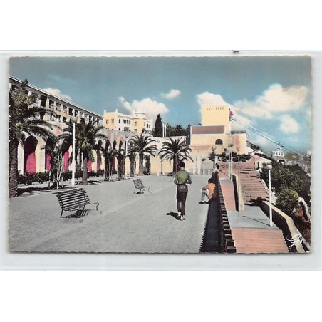 Rare collectable postcards of Algeria. Vintage Postcards of Algeria
