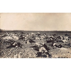 Rare collectable postcards of Syria. Vintage Postcards of Syria