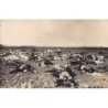 Rare collectable postcards of Syria. Vintage Postcards of Syria
