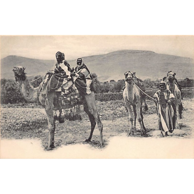 Rare collectable postcards of Syria. Vintage Postcards of Syria