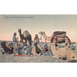 Rare collectable postcards of Syria. Vintage Postcards of Syria