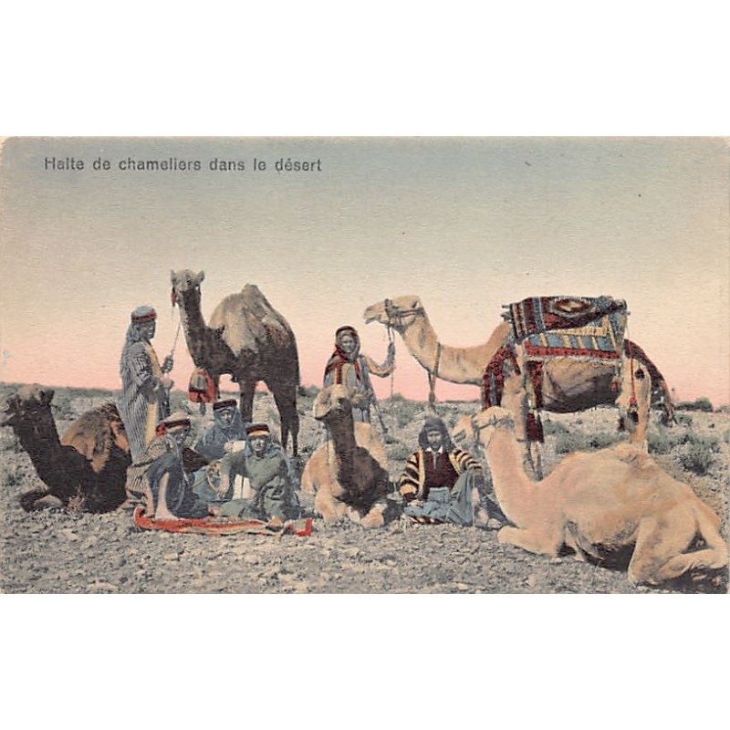 Rare collectable postcards of Syria. Vintage Postcards of Syria