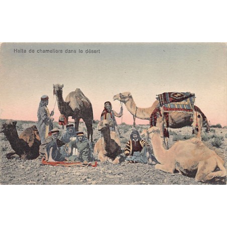 Rare collectable postcards of Syria. Vintage Postcards of Syria