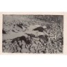 Rare collectable postcards of Syria. Vintage Postcards of Syria