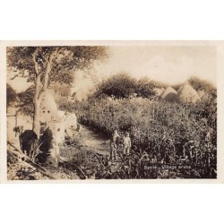 Rare collectable postcards of Syria. Vintage Postcards of Syria