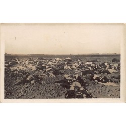 Rare collectable postcards of Syria. Vintage Postcards of Syria