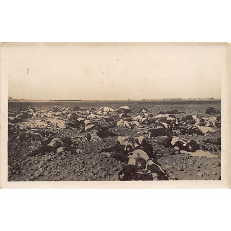 Rare collectable postcards of Syria. Vintage Postcards of Syria