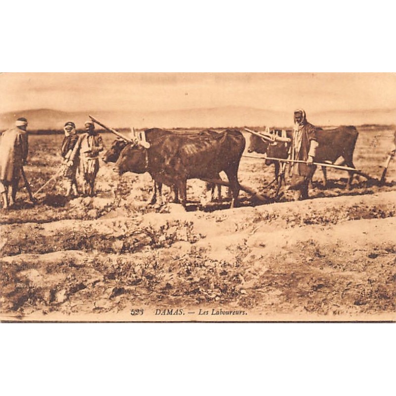 Rare collectable postcards of Syria. Vintage Postcards of Syria