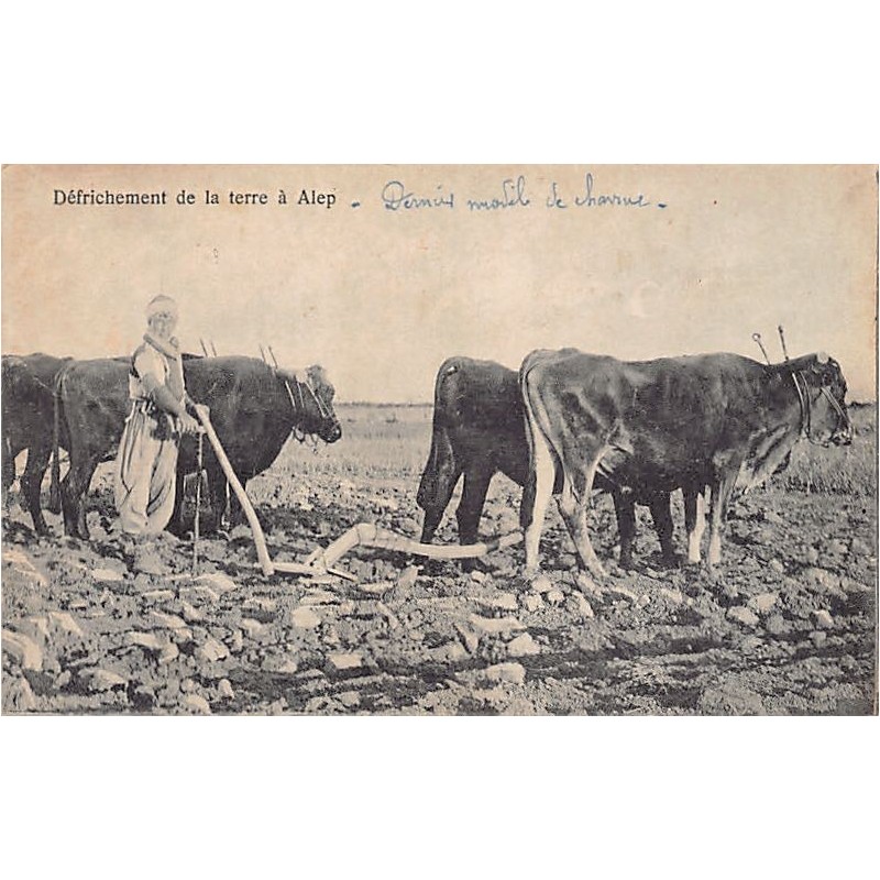 Rare collectable postcards of Syria. Vintage Postcards of Syria