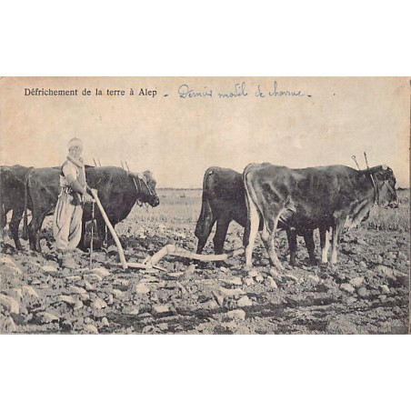 Rare collectable postcards of Syria. Vintage Postcards of Syria