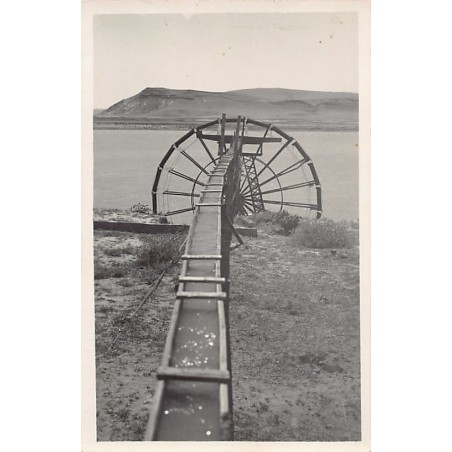 Rare collectable postcards of Syria. Vintage Postcards of Syria